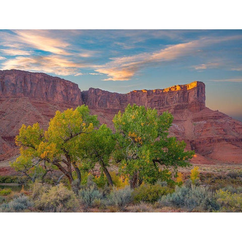 Sandstone Cliffs at Porcupine Canyon-Utah Black Modern Wood Framed Art Print with Double Matting by Fitzharris, Tim