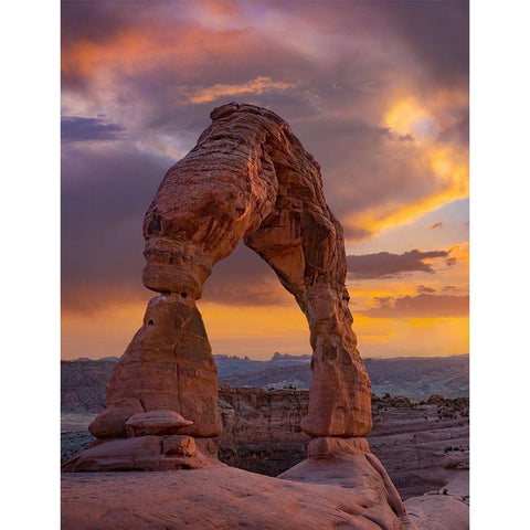 Delicate Arch at Sunset-Arches National Park-Utah-USA Gold Ornate Wood Framed Art Print with Double Matting by Fitzharris, Tim