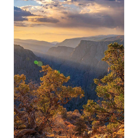 Tomichi Point-Black Canyon of the Gunnison National Park-Colorado Black Modern Wood Framed Art Print by Fitzharris, Tim