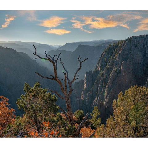 Tomichi Point-Black Canyon of the Gunnison National Park-Colorado Black Modern Wood Framed Art Print with Double Matting by Fitzharris, Tim