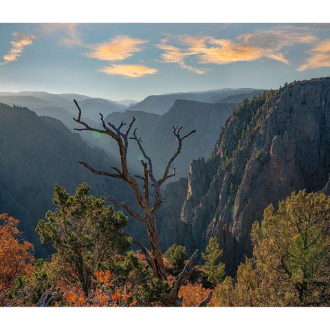 Tomichi Point-Black Canyon of the Gunnison National Park-Colorado White Modern Wood Framed Art Print by Fitzharris, Tim