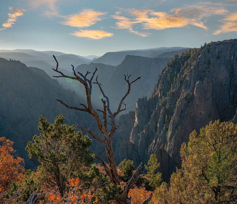 Tomichi Point-Black Canyon of the Gunnison National Park-Colorado Black Ornate Wood Framed Art Print with Double Matting by Fitzharris, Tim