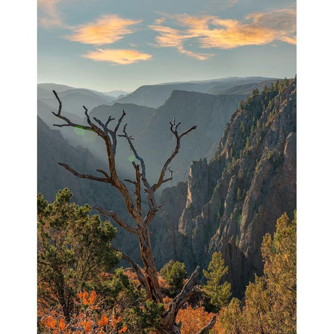 Tomichi Point-Black Canyon of the Gunnison National Park-Colorado Gold Ornate Wood Framed Art Print with Double Matting by Fitzharris, Tim