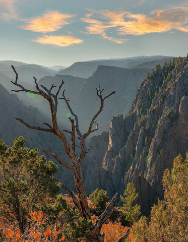 Tomichi Point-Black Canyon of the Gunnison National Park-Colorado Black Ornate Wood Framed Art Print with Double Matting by Fitzharris, Tim