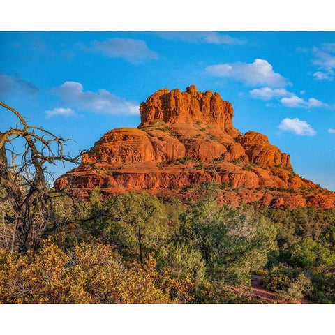 Bell Rock-Coconino National Forest near Sedona-Arizona-USA White Modern Wood Framed Art Print by Fitzharris, Tim