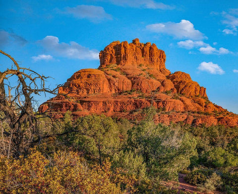 Bell Rock-Coconino National Forest near Sedona-Arizona-USA White Modern Wood Framed Art Print with Double Matting by Fitzharris, Tim