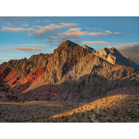 Red Rock Canyon National Conservation Area-Nevada-USA  Gold Ornate Wood Framed Art Print with Double Matting by Fitzharris, Tim