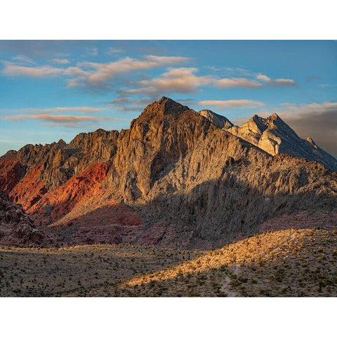 Red Rock Canyon National Conservation Area-Nevada-USA  White Modern Wood Framed Art Print by Fitzharris, Tim