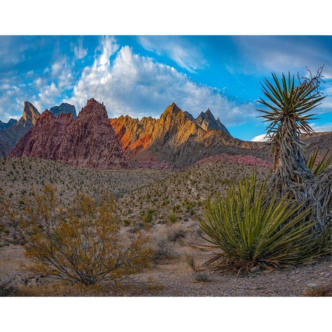 Red Rock Canyon National Conservation Area-Nevada-USA  Black Modern Wood Framed Art Print with Double Matting by Fitzharris, Tim