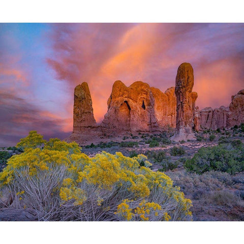 Parade of the Elephants Sandstone Formation-Arches National Park-Utah White Modern Wood Framed Art Print by Fitzharris, Tim