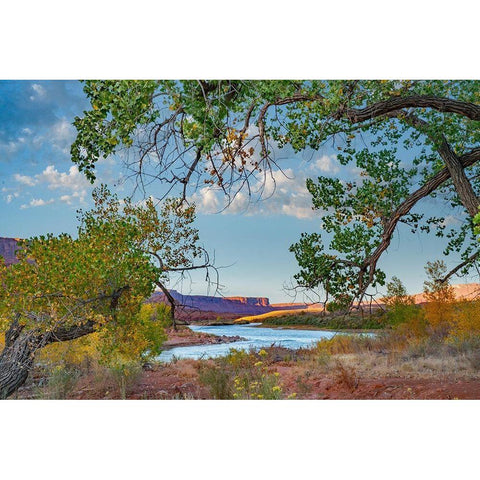 Porcupine Canyon on Colorado River near Castle Valley-Utah-USA Gold Ornate Wood Framed Art Print with Double Matting by Fitzharris, Tim