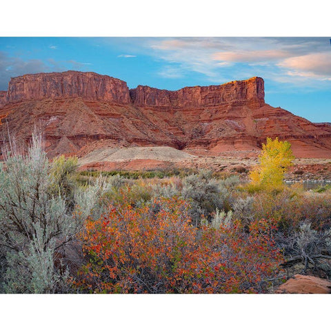 Porcupine Canyon with Dome Plateau on Colorado River near Moab-Utah White Modern Wood Framed Art Print by Fitzharris, Tim