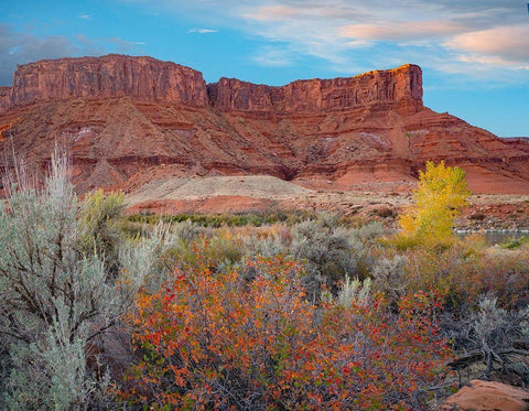 Porcupine Canyon with Dome Plateau on Colorado River near Moab-Utah White Modern Wood Framed Art Print with Double Matting by Fitzharris, Tim