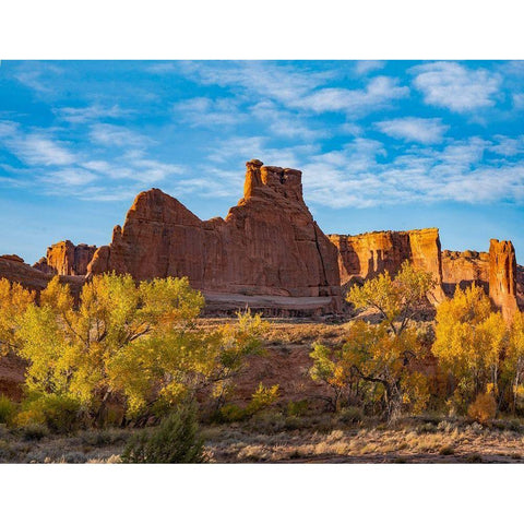 Courthouse Towers from Courthouse Wash-Arches National Park-Utah White Modern Wood Framed Art Print by Fitzharris, Tim