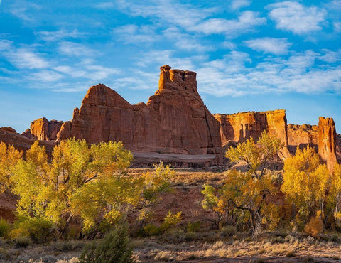 Courthouse Towers from Courthouse Wash-Arches National Park-Utah White Modern Wood Framed Art Print with Double Matting by Fitzharris, Tim