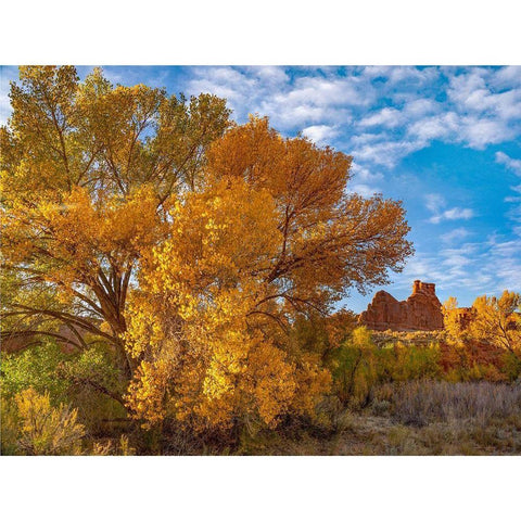 Courthouse Towers from Courthouse Wash-Arches National Park-Utah Gold Ornate Wood Framed Art Print with Double Matting by Fitzharris, Tim