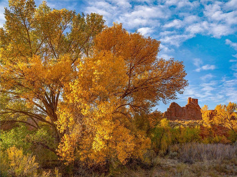 Courthouse Towers from Courthouse Wash-Arches National Park-Utah White Modern Wood Framed Art Print with Double Matting by Fitzharris, Tim