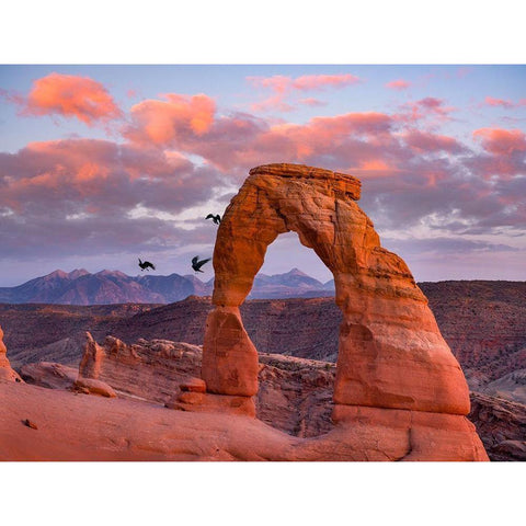 Delicate Arch-Arches National Park-Utah-USA Gold Ornate Wood Framed Art Print with Double Matting by Fitzharris, Tim