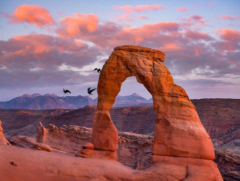 Delicate Arch-Arches National Park-Utah-USA White Modern Wood Framed Art Print with Double Matting by Fitzharris, Tim