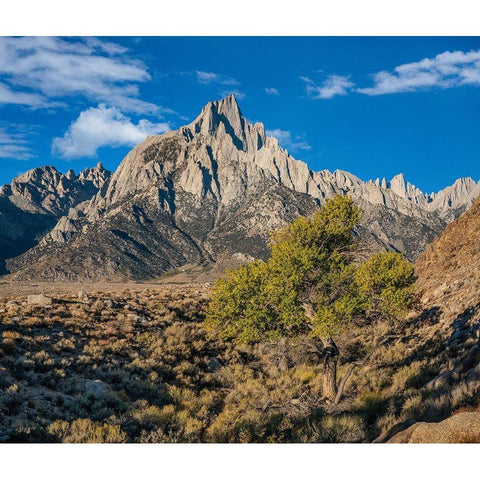 Lone Pine Peak-Eastern Sierra-California Black Modern Wood Framed Art Print with Double Matting by Fitzharris, Tim