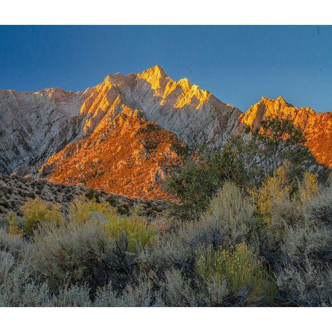 Tuttle Creek-Sierra Nevada-California-USA Black Modern Wood Framed Art Print with Double Matting by Fitzharris, Tim