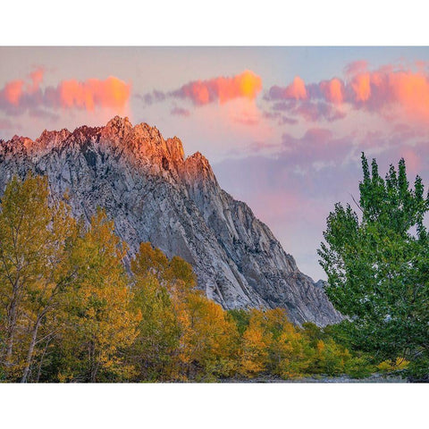 Mount Tom-Eastern Sierra-California-USA White Modern Wood Framed Art Print by Fitzharris, Tim