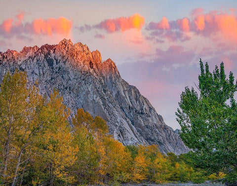 Mount Tom-Eastern Sierra-California-USA Black Ornate Wood Framed Art Print with Double Matting by Fitzharris, Tim