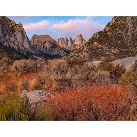 Mount Whitney-Sequoia National Park-California-USA White Modern Wood Framed Art Print by Fitzharris, Tim