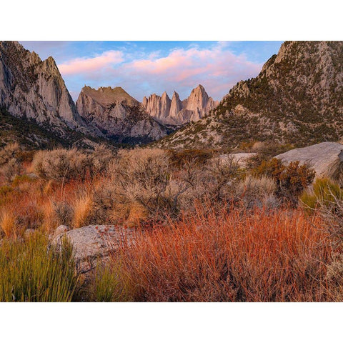 Mount Whitney-Sequoia National Park-California-USA Black Modern Wood Framed Art Print with Double Matting by Fitzharris, Tim