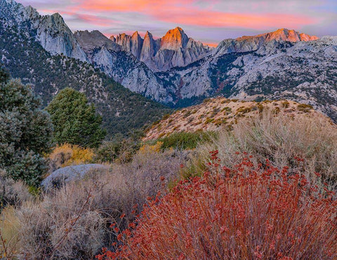 Mount Whitney-Sequoia National Park-California-USA Black Ornate Wood Framed Art Print with Double Matting by Fitzharris, Tim