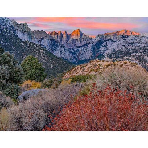 Mount Whitney-Sequoia National Park-California-USA White Modern Wood Framed Art Print by Fitzharris, Tim