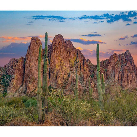 Usury Mountains from Tortilla Flat-Arizona-USA White Modern Wood Framed Art Print by Fitzharris, Tim