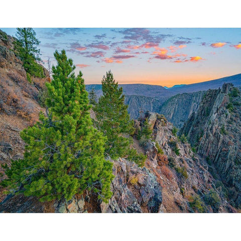Tomichi Point-Black Canyon of the Gunnison National Park-Colorado Gold Ornate Wood Framed Art Print with Double Matting by Fitzharris, Tim