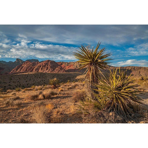 Red Rock Canyon National Conservation Area near Las Vegas-Nevada White Modern Wood Framed Art Print by Fitzharris, Tim