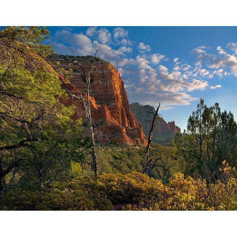 Coconino National Forest near Sedona-Arizona-USA Black Modern Wood Framed Art Print by Fitzharris, Tim