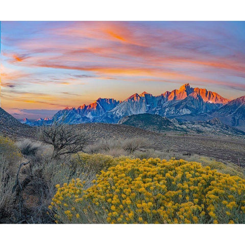 Sierra Nevada from Owens Valley-California-USA Black Modern Wood Framed Art Print with Double Matting by Fitzharris, Tim