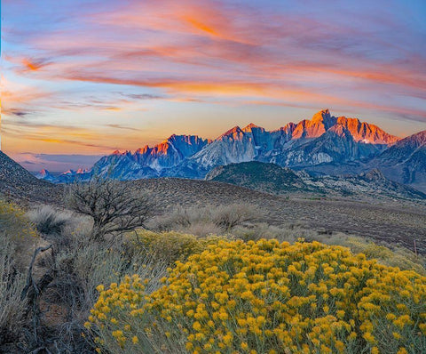 Sierra Nevada from Owens Valley-California-USA White Modern Wood Framed Art Print with Double Matting by Fitzharris, Tim