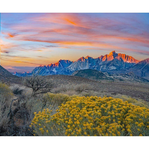 Sierra Nevada from Owens Valley-California-USA White Modern Wood Framed Art Print by Fitzharris, Tim