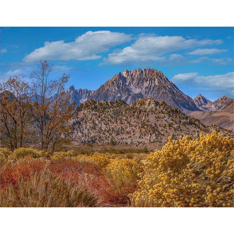 Sierra Nevada from Buttermilk Road near Bishop-California-USA Gold Ornate Wood Framed Art Print with Double Matting by Fitzharris, Tim