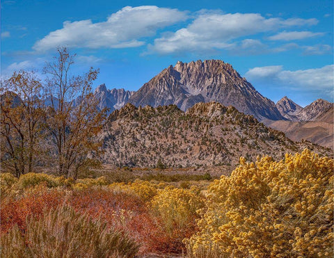 Sierra Nevada from Buttermilk Road near Bishop-California-USA Black Ornate Wood Framed Art Print with Double Matting by Fitzharris, Tim