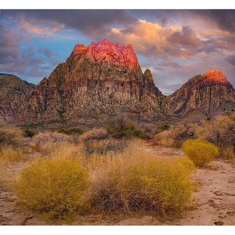 Spring Mountains-Red Rock Canyon National Conservation Area-Nevada Black Modern Wood Framed Art Print with Double Matting by Fitzharris, Tim