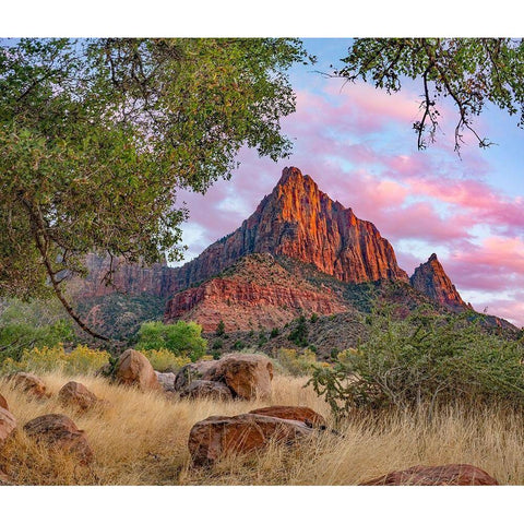 The Watchman-Zion National Park-Utah-USA Gold Ornate Wood Framed Art Print with Double Matting by Fitzharris, Tim