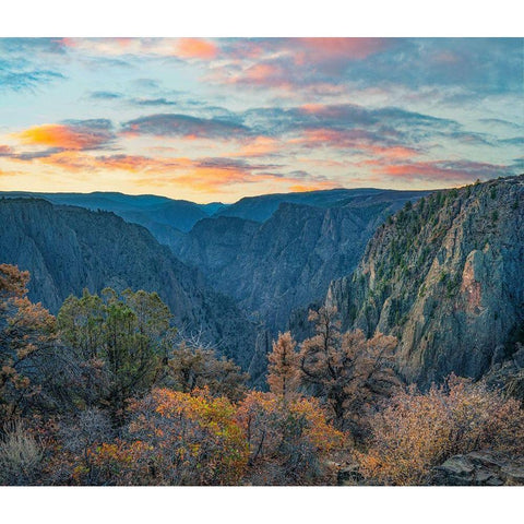 Tomichi Point-Black Canyon of the Gunnison National Park-Colorado Gold Ornate Wood Framed Art Print with Double Matting by Fitzharris, Tim