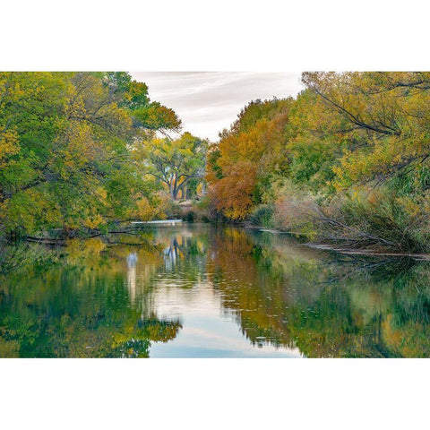 Verde River near Camp Verde-Arizona-USA White Modern Wood Framed Art Print by Fitzharris, Tim