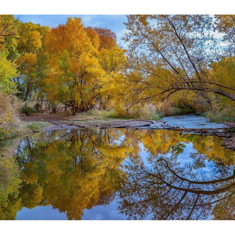 Verde River near Camp Verde-Arizona-USA White Modern Wood Framed Art Print by Fitzharris, Tim