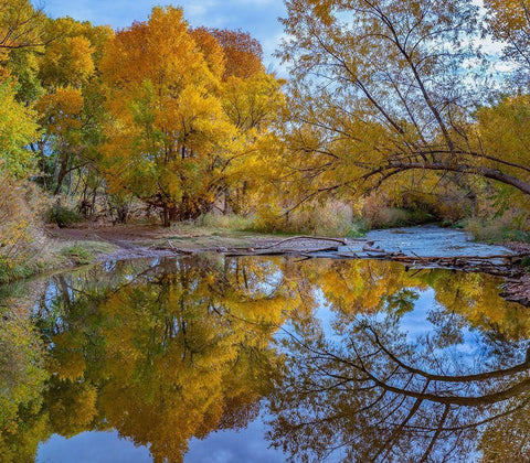 Verde River near Camp Verde-Arizona-USA White Modern Wood Framed Art Print with Double Matting by Fitzharris, Tim