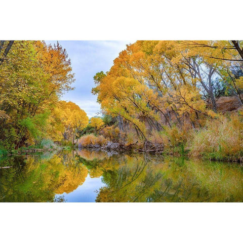 Verde River near Camp Verde-Arizona-USA White Modern Wood Framed Art Print by Fitzharris, Tim