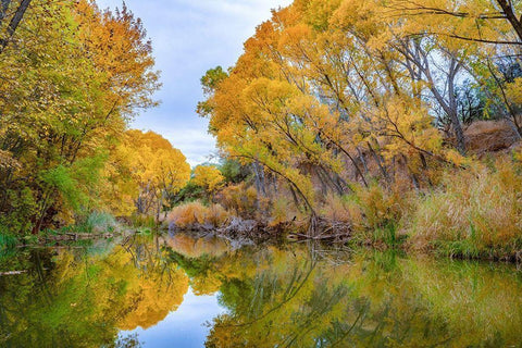 Verde River near Camp Verde-Arizona-USA White Modern Wood Framed Art Print with Double Matting by Fitzharris, Tim