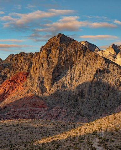 Calico Hills-Red Rock canyon National Conservation Area-Nevada Black Ornate Wood Framed Art Print with Double Matting by Fitzharris, Tim