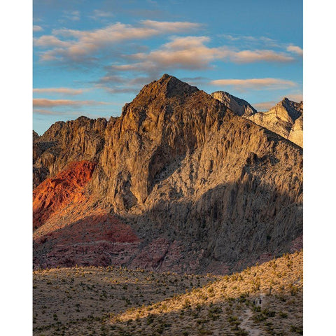 Calico Hills-Red Rock canyon National Conservation Area-Nevada Gold Ornate Wood Framed Art Print with Double Matting by Fitzharris, Tim